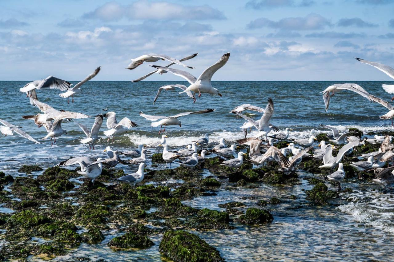 Apartmán Sueden Westerland Exteriér fotografie